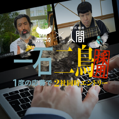 一石二鳥採用